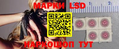 стафф Донецк