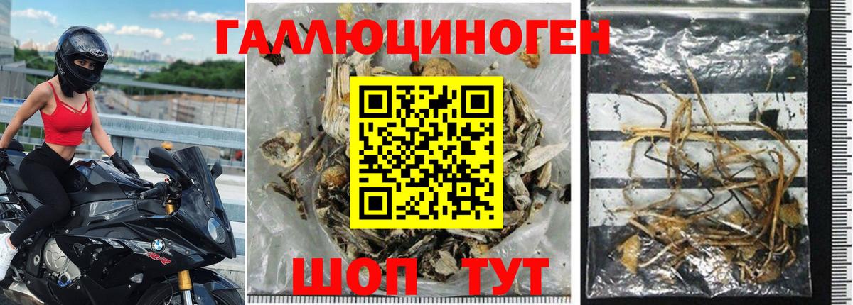 Галлюциногенные грибы ЛСД Минеральные Воды