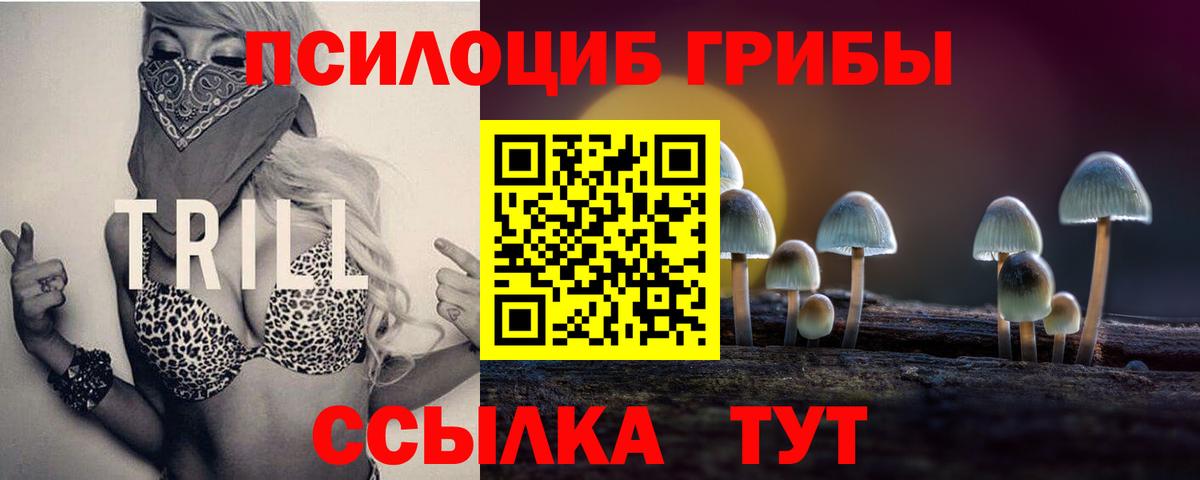 Галлюциногенные грибы Psilocybine cubensis  Вход с VPN  Минеральные Воды 